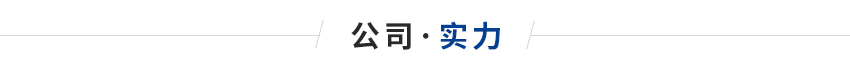 浸入式法蘭電加熱管